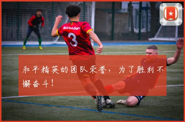 和平精英的团队荣誉，为了胜利不懈奋斗！