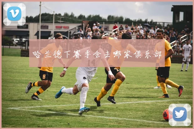 哈兰德下赛季会去哪家俱乐部
